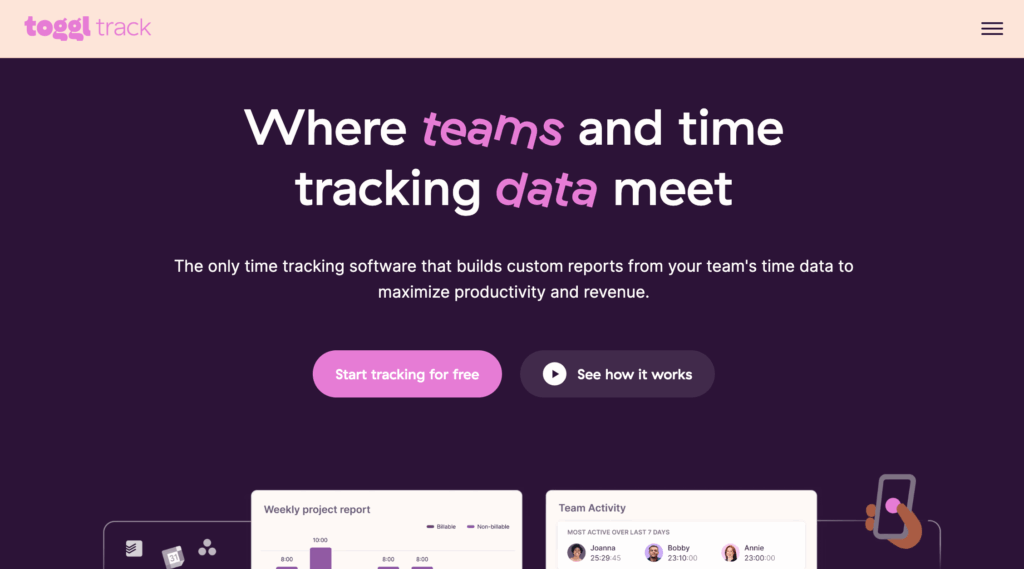consultant software toggl