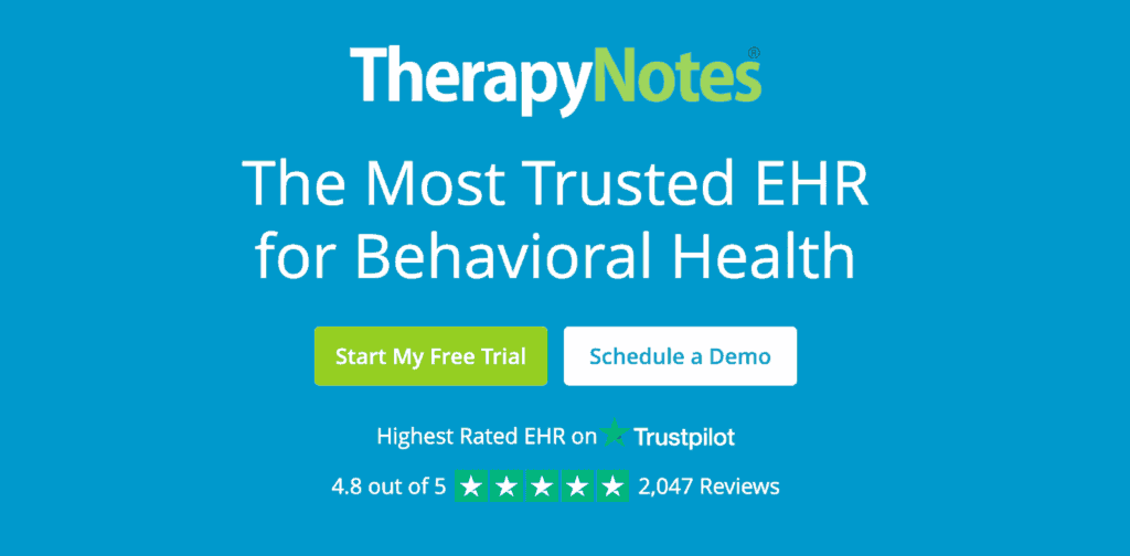 simplepractice alternatives therapy notes