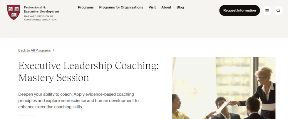 Leadership Coaching: Everything You Need to Know