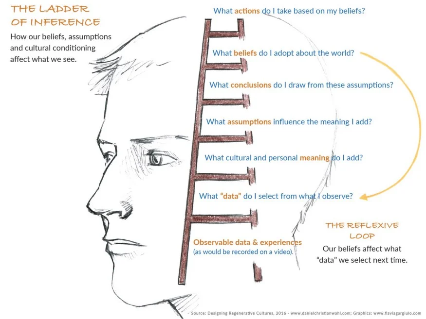 ladder of inference reflexive loop