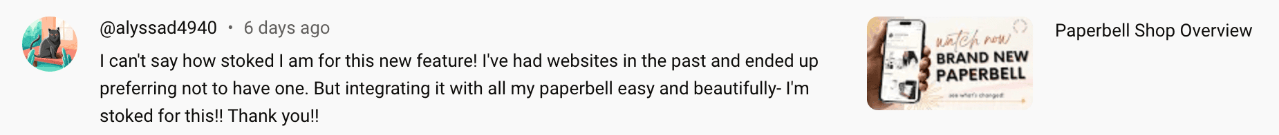 YouTube comment from alyssad4940: I have had websites in the past and ended up preferring not to have one. But integrating it with all my Paperbell tools makes it so easy.